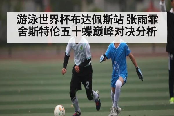 游泳世界杯布达佩斯站 张雨霏舍斯特伦五十蝶巅峰对决分析